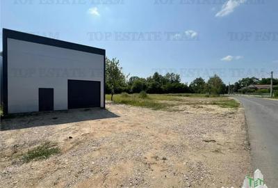 Spațiu comercial, de 435 mp, în Ulmi - 13