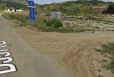 Teren de 6660 mp, în Lăpușnicu Mare - 1