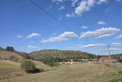 Teren de 7000 mp, în Tileagd