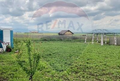 Teren Construcții intravilan de 517 mp, în Bod - 8