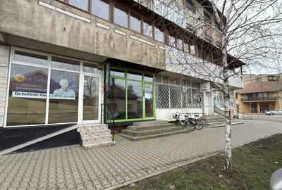 Spațiu comercial, de 30 mp, în Carei - 12