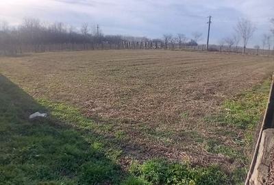 Teren de 1643 mp, în Răzoarele