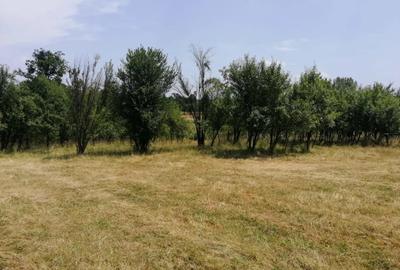 Teren de 3472 mp, în Gornovița - 2