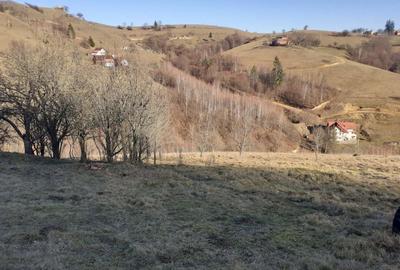 Teren de 12928 mp, în Poiana Mărului - 3