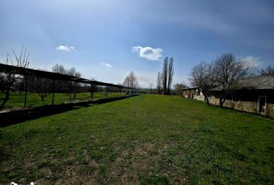 Spațiu comercial, de 400 mp, în Girov - 14