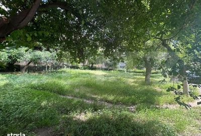 Teren de 232 mp, în Rovine - 3