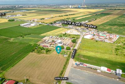 Teren Construcții intravilan de 5500 mp, în Sânleani - 1