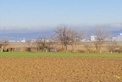 Teren de 1630 mp, în Luizi-Călugăra - 5