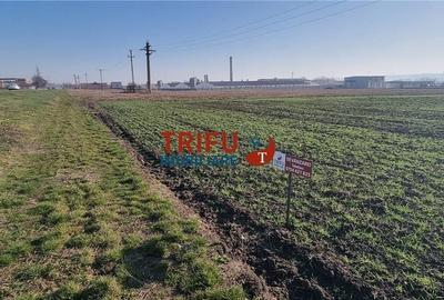 Spațiu comercial, în Sântimbru - 3