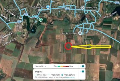 Teren agricol extravilan de 10000 mp, în Periș - 2