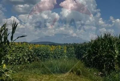 Teren în Costâna