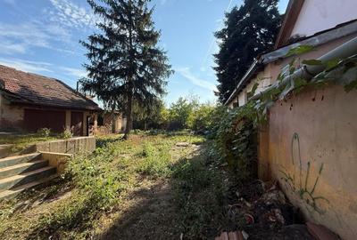 Casă individuală cu 4 camere cu Canalizare în Freidorf - 8