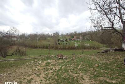 Teren de 9370 mp, în Baia de Criș - 12