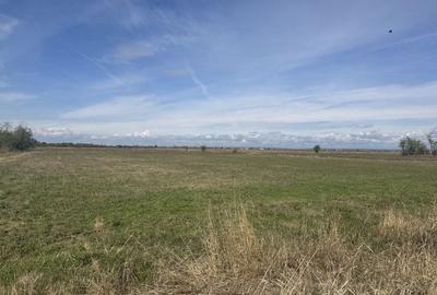 Teren Construcții intravilan de 3700 mp, în Rătești