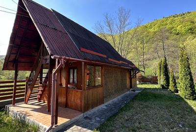 Casă cu 8 camere cu Teren 770 Mp în Lotrioara - 5