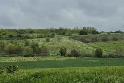Teren de 770 mp, în Vlad Țepeș