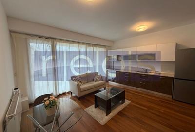 Apartament cu 2 camere semidecomandat, mobilat în Herăstrău - 2