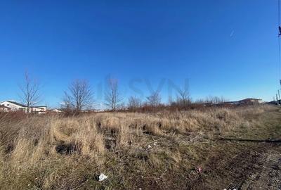 Teren de 20000 mp, în Odăi - 3