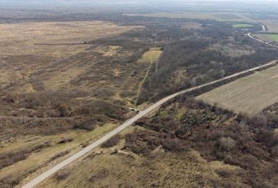 Teren agricol extravilan de 952372 mp, în Constantin Daicoviciu - 10