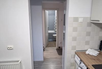 Apartament cu 2 camere decomandat în Gruia - 9