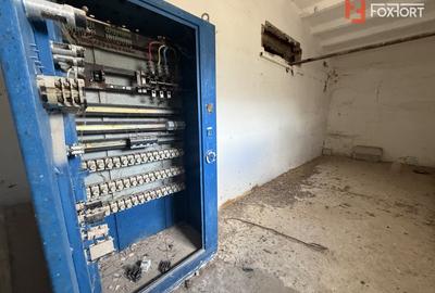 Spațiu industrial, de 1,880 mp, în Orțișoara - 3