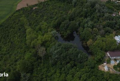 Teren de 63000 mp, în Vânătorii Mici - 7