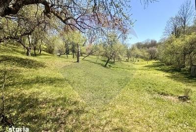 Casă cu 3 camere cu Teren 6039 Mp în Desești - 12