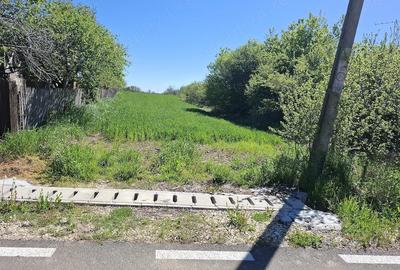 Teren de 4300 mp, în Vedea - 8