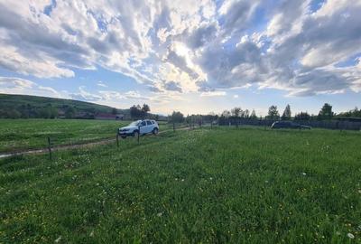 Teren de 800 mp, în Cărpiniș - 3