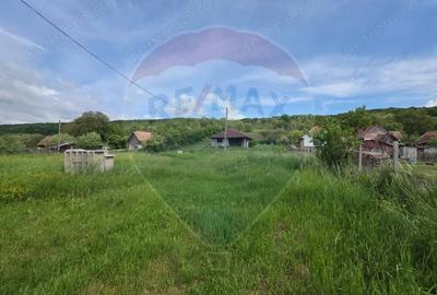 Casă cu Teren 4234 Mp în Deag - 4
