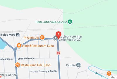 Casă individuală cu 3 camere cu Teren 1439 Mp în Central - 1
