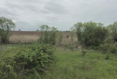 Casă cu Teren 2700 Mp în Dărăști-Vlașca - 2
