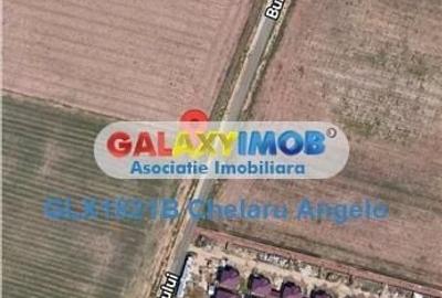 Spațiu comercial, în Dobroești