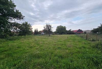 Casă cu 3 camere decomandat în Arpașu de Jos - 4