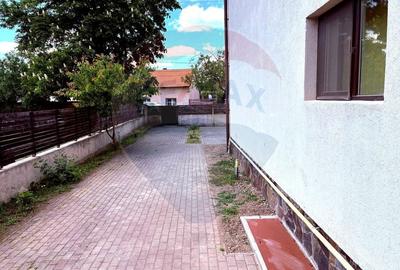 Apartament cu 3 camere semidecomandat, mobilat în Alfa - 13