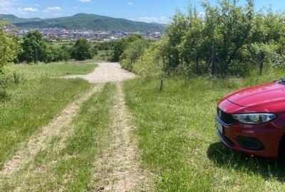 Teren extravilan de 2400 mp, în Est