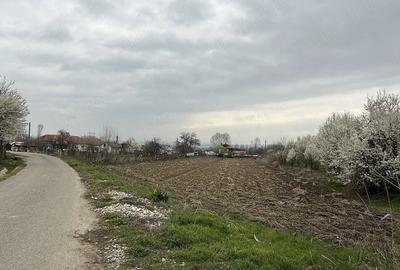 Teren de 2500 mp, în Prodănești