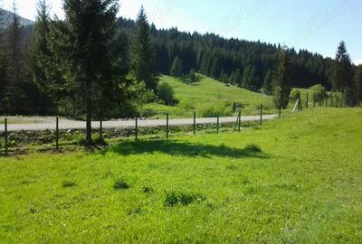 Teren de 12500 mp, în Lunca - 1