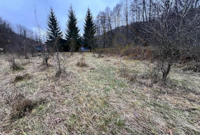 Teren de 6500 mp, în Morărești