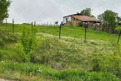 Teren de 4000 mp, în Perieți - 2