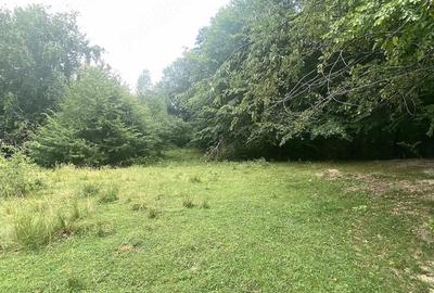 Teren de 1000 mp, în Breaza de Sus - 1