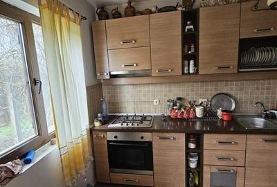 Casă cu 3 camere cu Teren 2800 Mp în Bucșani - 4