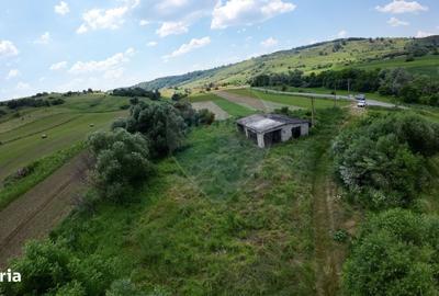 Spațiu comercial, în Feleag - 2