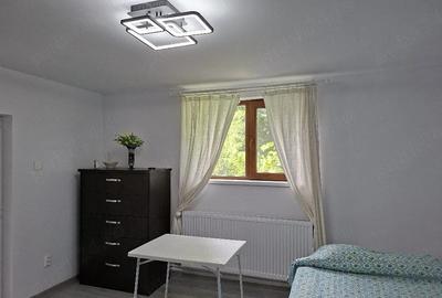 Casă cu Teren 1405 Mp în Urleta - 7