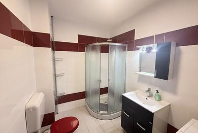 Garsonieră semidecomandată, mobilată în Banu Mărăcine - 6