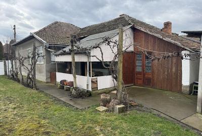 Casă cu 4 camere cu Teren 3611 Mp în Iratoșu - 6