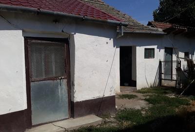Casă cu 4 camere cu Teren 1130 Mp în Uivar - 6
