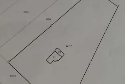 Casă cu 3 camere cu Teren 4226 Mp în Băbana