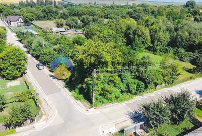 Teren Construcții intravilan de 1110 mp, în Boțești - 8