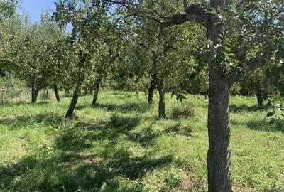 Teren în Boțești - 1